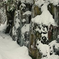 "Лыжня ныряет в хвойный лес" :: Ирэн 