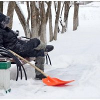 "Ты, работа, нас не бойся, мы тебя не тронем.." :: Михаил Курзанцев "Ты, работа, нас не бойся, мы тебя не тронем.." :: Михаил Курзанцев