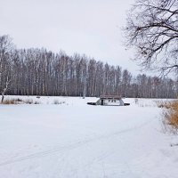 Прощай зима! :: Лия ☼