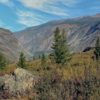 У перевала Кату-Ярык :: елена беликова