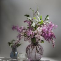 Натюрморт с сиренью. :: Лилия *