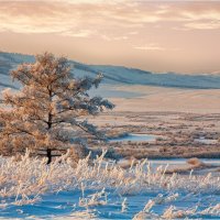 *** :: Алексей Мезенцев