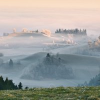 misty morning :: Elena Wymann