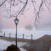 В первый день Весны :: liudmila drake