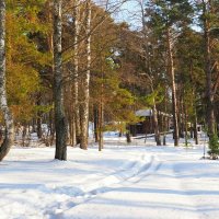 Первый день весны на Смоленщине. :: Милешкин Владимир Алексеевич 