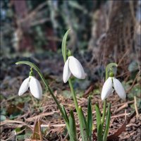 1 марта :: Федор Кобец 1 марта :: Федор Кобец