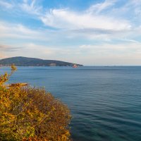 Черноморское побережье :: Владимир Лазарев