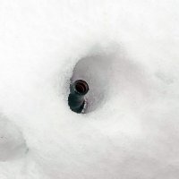 Ушло время сбора стеклотары :: Валерий Иванович