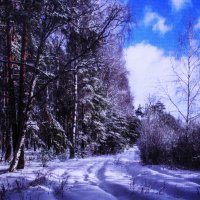 В конце февраля :: Людмила Смородинская