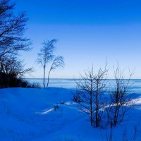 Побережье Балтийского моря :: Рита Симонова