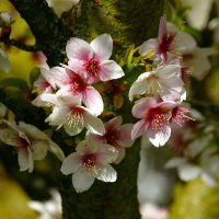 Доброе утро :: Юрий. Шмаков Доброе утро :: Юрий. Шмаков