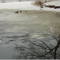 *** :: Aleksandr Gal