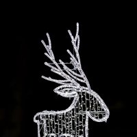 сказочные животные :: Liudmila LLF