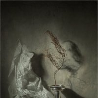 *** :: Oleg Rastorguev