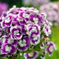 . :: Дмитрий Шароватов . :: Дмитрий Шароватов