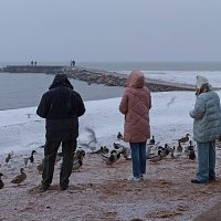 Вечереет. Люди пришли покормить птиц. :: Лилия *