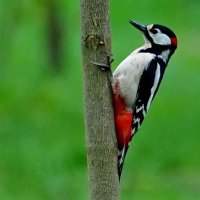 И вот она Весна... :: Николай Саржанов И вот она Весна... :: Николай Саржанов