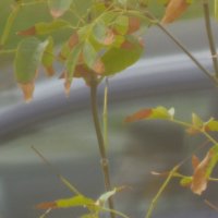 13  ОПЕН (920) :: OPEN WAYS ALL