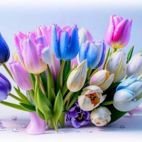 Тюльпаны :: Елена Сухорученкова