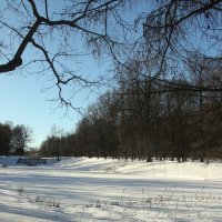 Царское Село. Екатерининский парк :: Наталья Герасимова