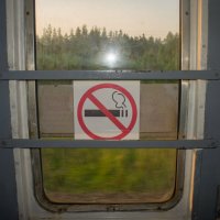 без названия :: fogmeadowww m