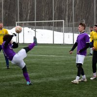 Футбольная Хоба! :: Наталья Вязигина