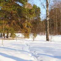 Был первый день весны. :: Милешкин Владимир Алексеевич 