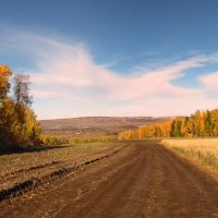 Дорога через осень. :: nadyasilyuk Вознюк