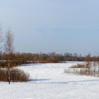 Весна на Смоленщине. :: Милешкин Владимир Алексеевич 