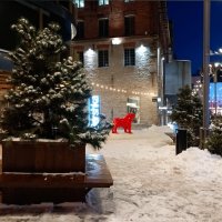 Вечерняя прогулка :: Veera V