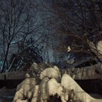 Мечтаем о лете... :: veilins veilins