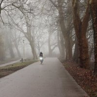 А я еду, а я еду за туманом :: Юрий. Шмаков