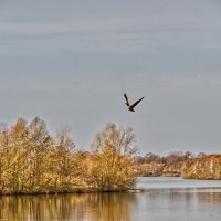 (°-°) :: Jakob Dick