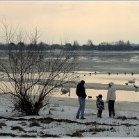 *** :: Aleksandr Gal