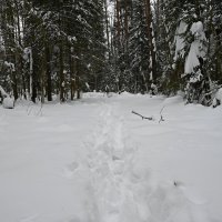 Полный непроход. :: ВикТор Быстров