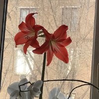 Здравствуй, Март! :: Татьяна Юрасова