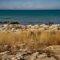 Берег :: Анатолий Чикчирный