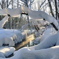 На реке Братовке снежная зима :: Денис Масленников