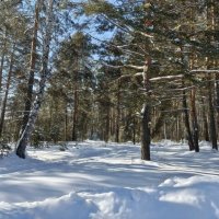 ЗИМА НЕ УХОДИТ4 :: ura Зелев