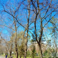 Март в ростовском зоопарке :: Нина Бутко