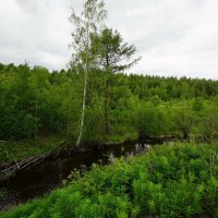 Уральские мотивы... :: Николай Гирш