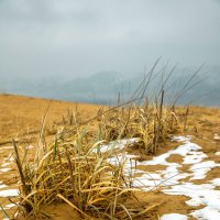 Снег в пустыне. Бархан Сарыкум. Дагестан. :: Дина Евсеева