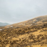 Бархан Сарыкум. Дагестан. :: Дина Евсеева