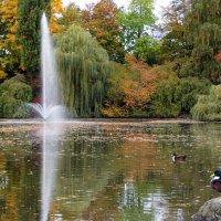 Мир Природы :: "The Natural World" Александер Мир Природы :: "The Natural World" Александер