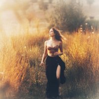 *** :: Александр Змеев