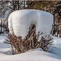 В зимнем парке... :: Aquarius - Сергей