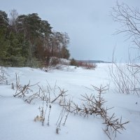 Берег Волги :: **** vedin