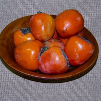 Хурма :: Анатолий Чикчирный