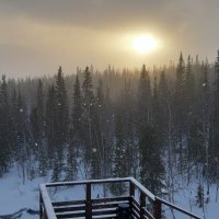 Снег летящий вверх :: Ольга 