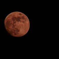 Red Moon. (3.03.2026y.) :: Sergey (Apg)
